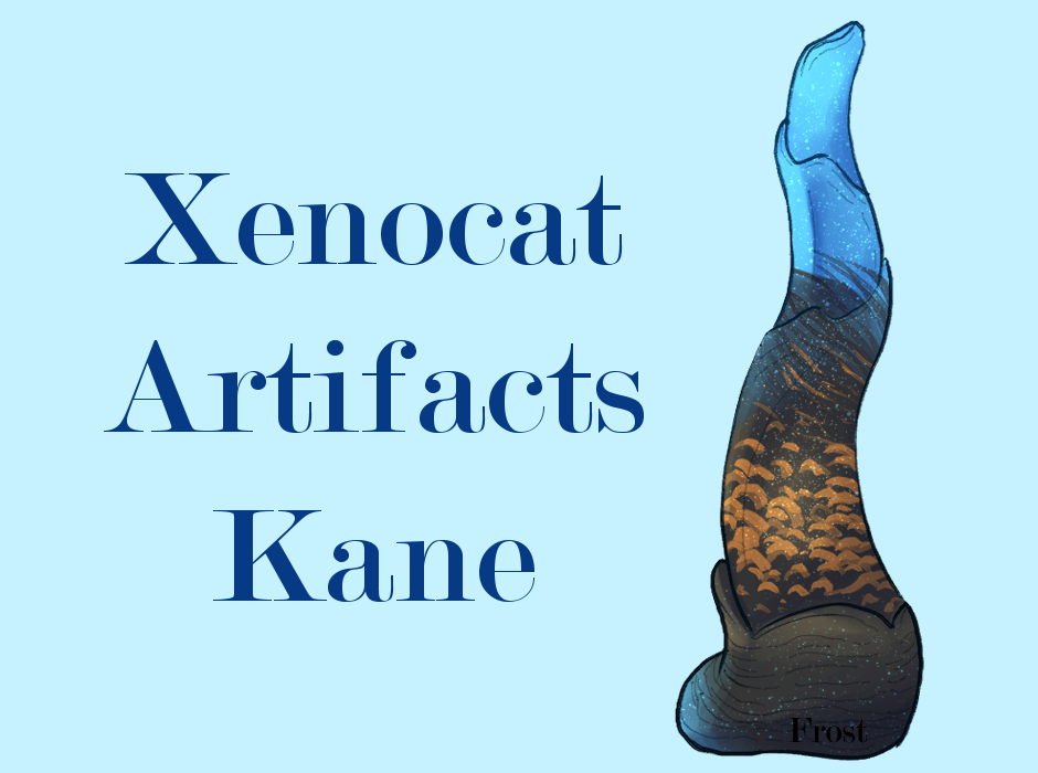 2025 Year in Review | Fantasy Frost xca kane 1